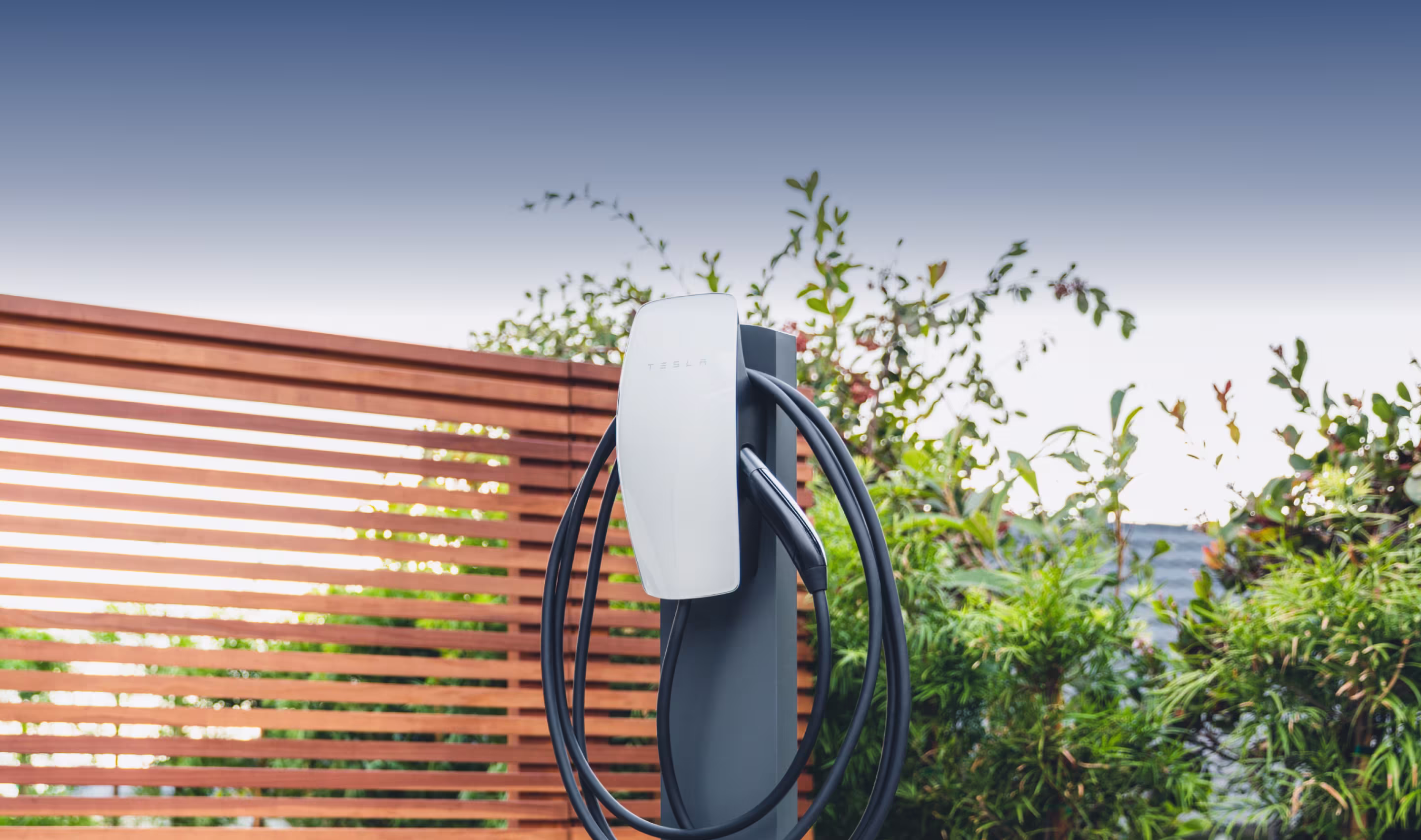 Image of Tesla Accessories