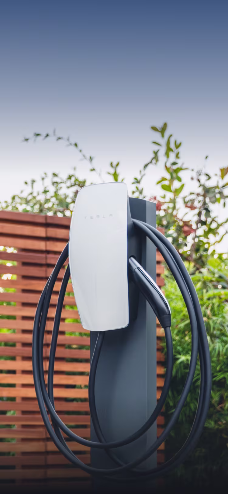 Image of Tesla Accessories